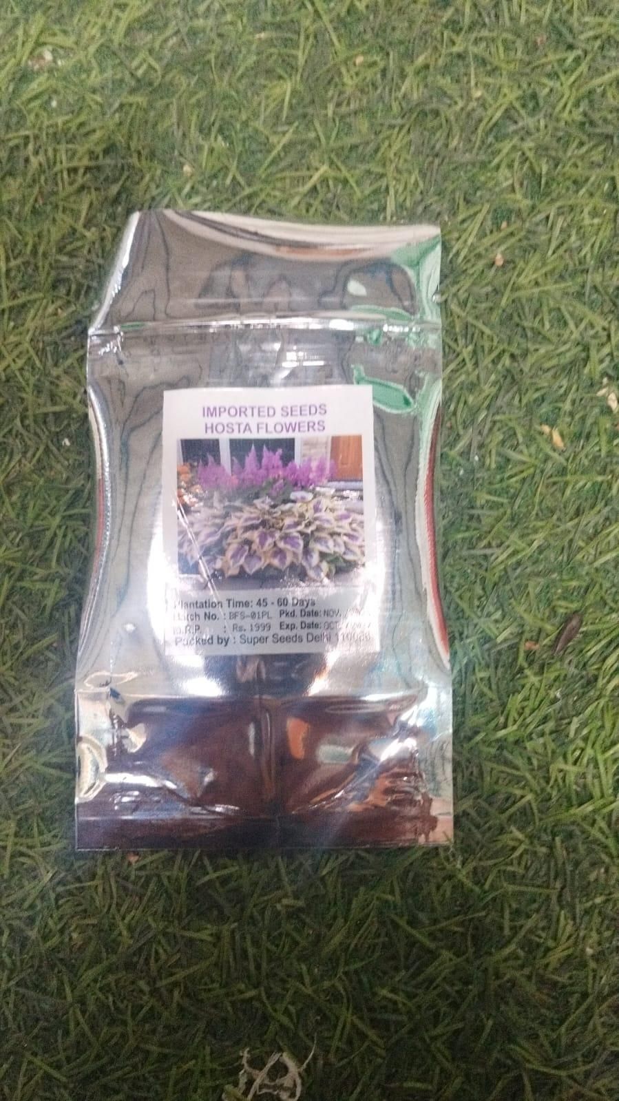 🌿 Rare Multicolor Hosta Seeds (Pack of 6 Color Seeds)